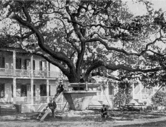 2 Hotel Montross, Hwy 90, Biloxi, 1904, current site of the Town Green